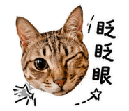 843751380