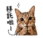 843751382
