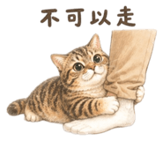 843751722