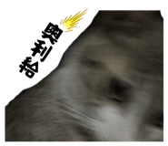 843751797