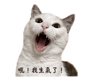 843752610