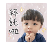 843752633
