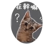 843752764