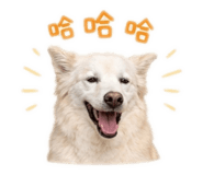 843752965
