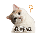 843753036