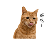 843753051