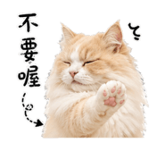 843753075