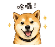 843753097