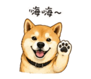 843753098