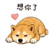 843753099