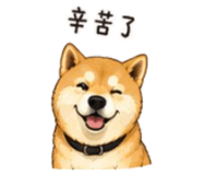 843753102