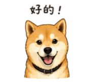 843753104
