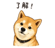 843753105