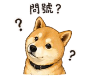 843753106