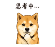 843753107