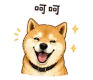 843753108