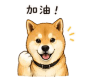 843753109