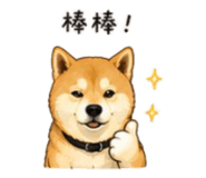 843753110