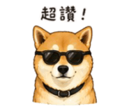 843753111