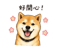 843753112