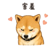 843753115
