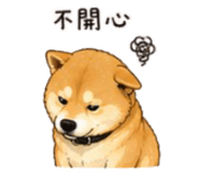 843753117