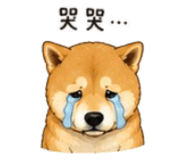 843753118