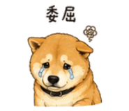 843753119