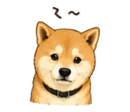 843753120