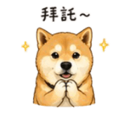 843753121