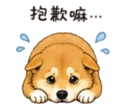 843753123