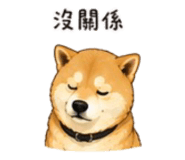 843753124