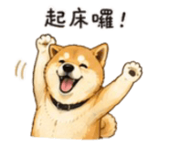 843753129