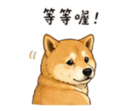 843753132