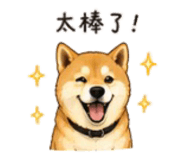843753135