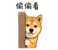 843753136
