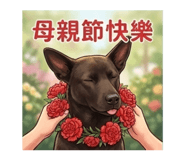 843753234