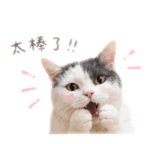 843753305