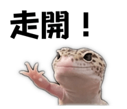 843753345