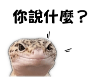 843753346