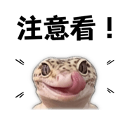 843753348