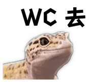 843753352