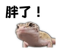 843753356