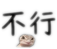 843753362
