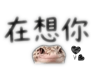 843753363