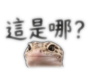 843753364