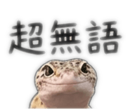 843753365
