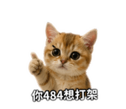 843753384
