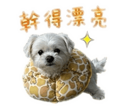 843753458