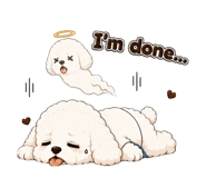 843754227